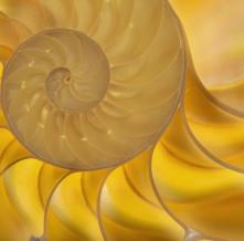 Обои 2614 Природа фотообои (Walldeco)