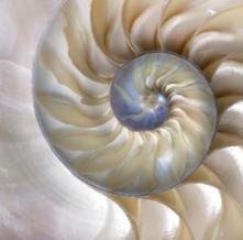 Обои 2623 Природа фотообои (Walldeco)