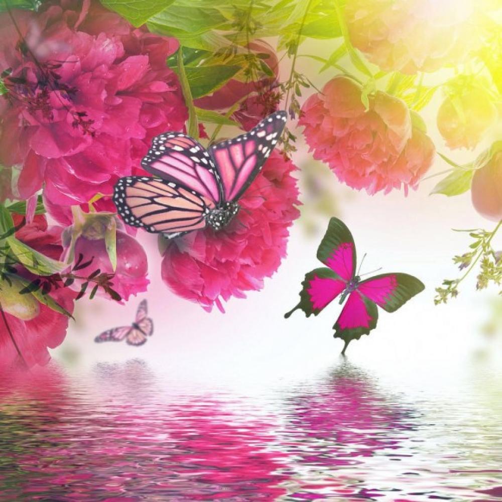 Обои 27566 Природа фотообои (Walldeco): фото, зображення, колір, малюнок