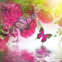 Обои 27566 Природа фотообои (Walldeco)