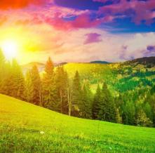Обои 27567 Природа фотообои (Walldeco)