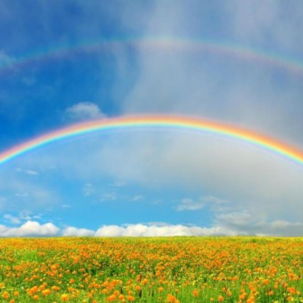 Обои 2868 Природа фотообои (Walldeco): фото, зображення, колір, малюнок