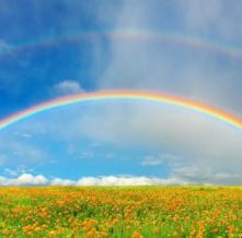 Обои 2868 Природа фотообои (Walldeco)