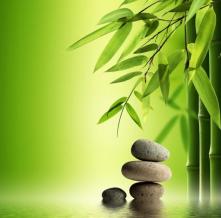 Обои 2942 Природа фотообои (Walldeco)
