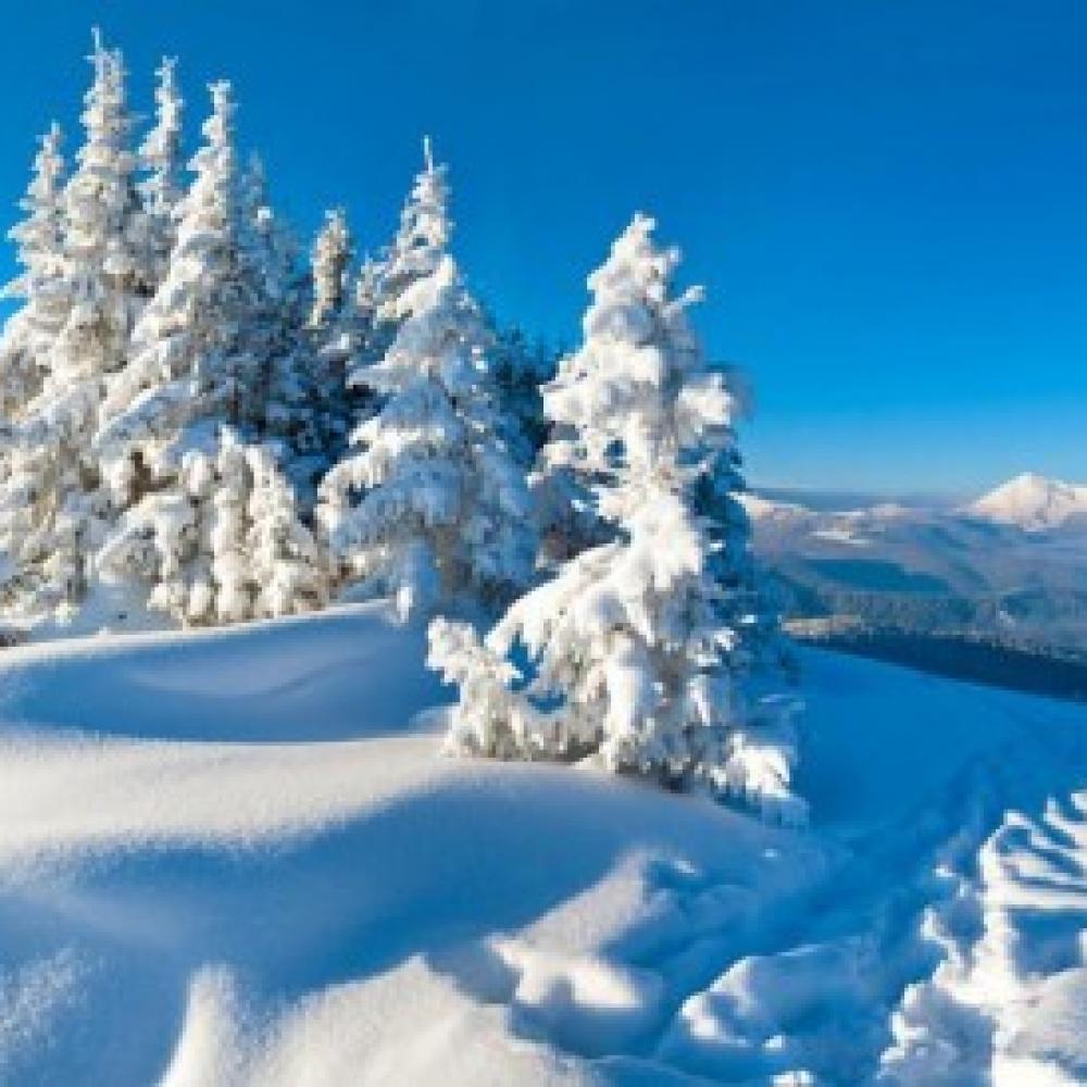 Обои 2950 Природа фотообои (Walldeco): фото, зображення, колір, малюнок