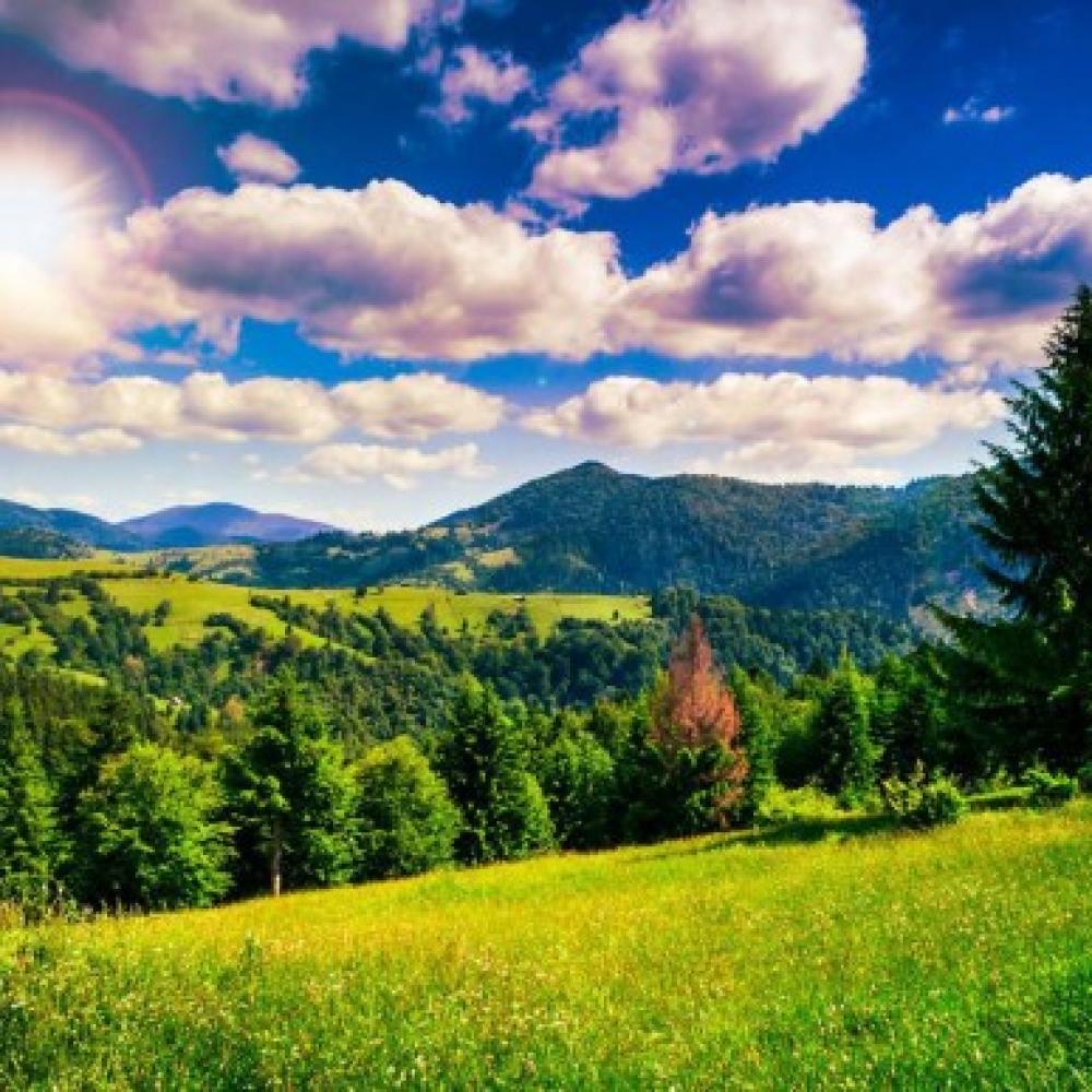 Обои 29552 Природа фотообои (Walldeco): фото, зображення, колір, малюнок