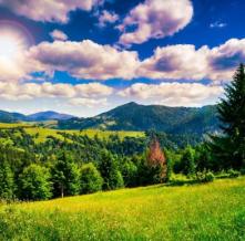 Обои 29552 Природа фотообои (Walldeco)