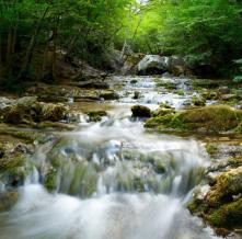 Обои 2972 Природа фотообои (Walldeco)