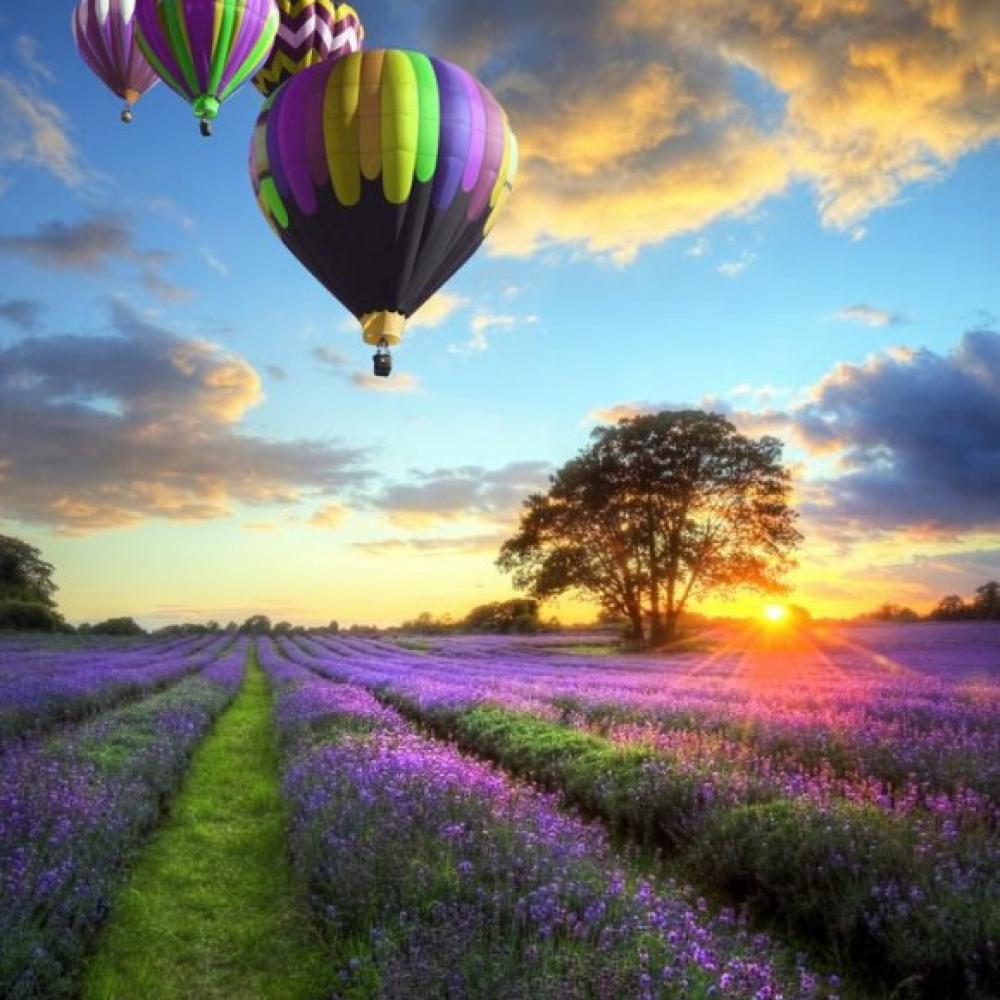 Обои 2991 Природа фотообои (Walldeco): фото, зображення, колір, малюнок