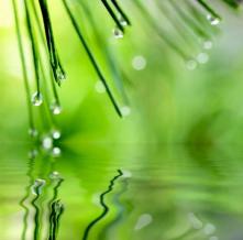 Обои 3035 Природа фотообои (Walldeco)