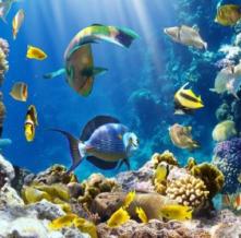 Обои 3046 Море фотообои (Walldeco)