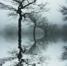 Обои 3048 Природа фотообои (Walldeco)
