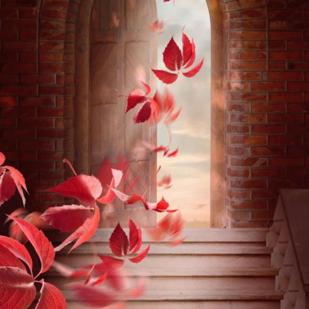 Обои 3057 Природа фотообои (Walldeco): фото, зображення, колір, малюнок