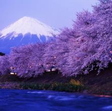 Обои 3067 Природа фотообои (Walldeco)