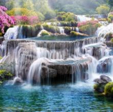 Обои 31039 Природа фотообои (Walldeco)