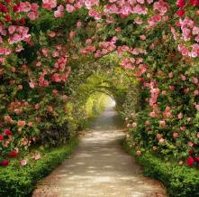 Обои 31382 Природа фотообои (Walldeco)