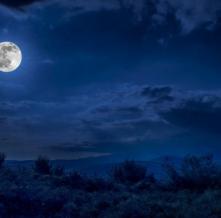 Обои 32270 Природа фотообои (Walldeco)
