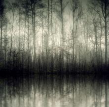 Обои 32333 Природа фотообои (Walldeco)