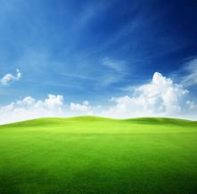 Обои 3308 Природа фотообои (Walldeco)