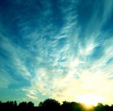 Обои 3309 Природа фотообои (Walldeco)