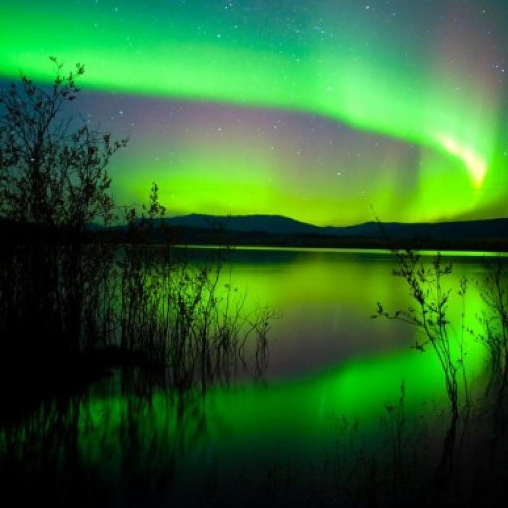 Обои 3317 Природа фотообои (Walldeco): фото, зображення, колір, малюнок