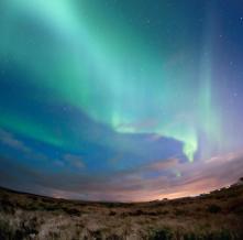Обои 3318 Природа фотообои (Walldeco)