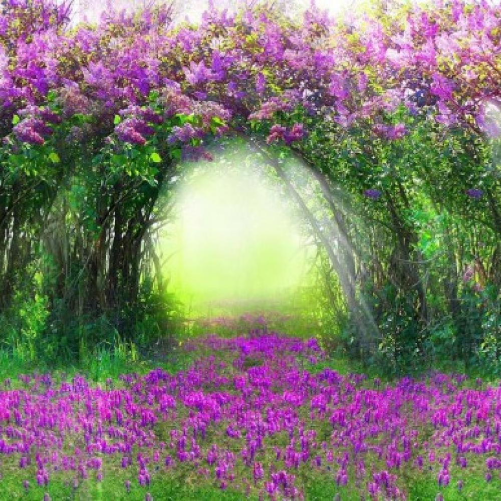 Обои 33318 Природа фотообои (Walldeco): фото, зображення, колір, малюнок