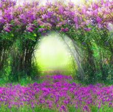 Обои 33318 Природа фотообои (Walldeco)