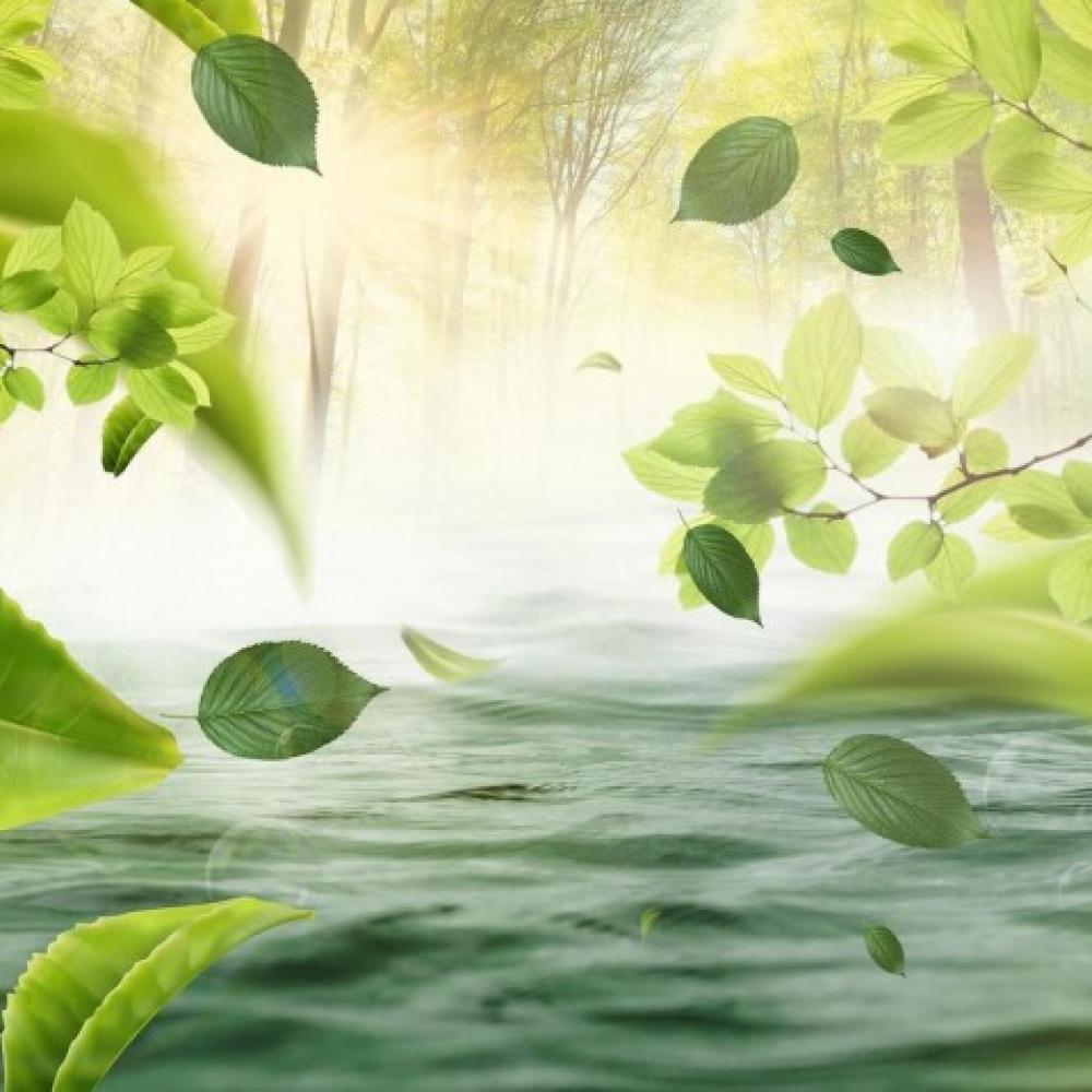Обои 33328 Природа фотообои (Walldeco): фото, зображення, колір, малюнок