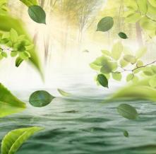 Обои 33328 Природа фотообои (Walldeco)