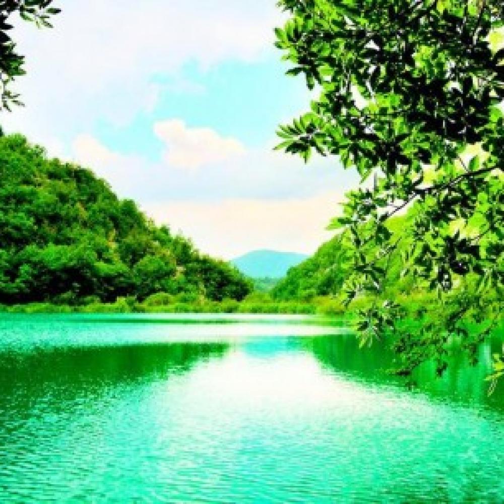 Обои 33495 Природа фотообои (Walldeco): фото, зображення, колір, малюнок