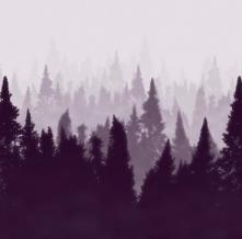 Обои 33507 Природа фотообои (Walldeco)