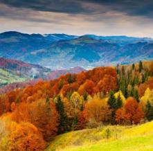 Обои 3354 Природа фотообои (Walldeco)