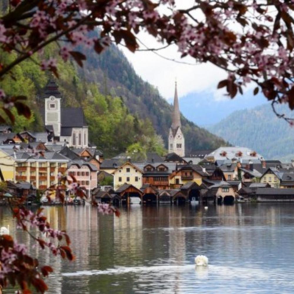 Обои 33868 Природа фотообои (Walldeco): фото, зображення, колір, малюнок