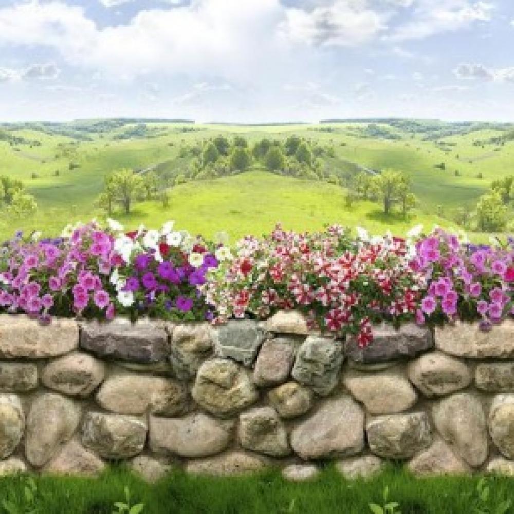 Обои 34240 Природа фотообои (Walldeco): фото, зображення, колір, малюнок