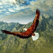 Обои 3489 Природа фотообои (Walldeco)