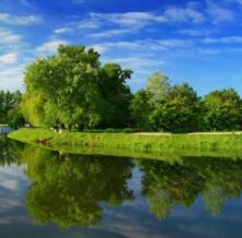 Обои 3775 Природа фотообои (Walldeco)