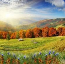 Обои 3820 Природа фотообои (Walldeco)