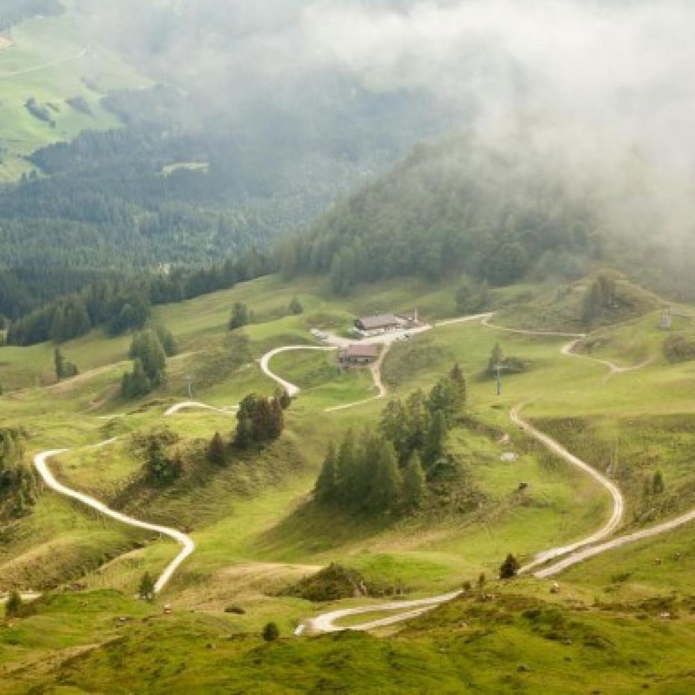 Обои 4331 Природа фотообои (Walldeco): фото, зображення, колір, малюнок