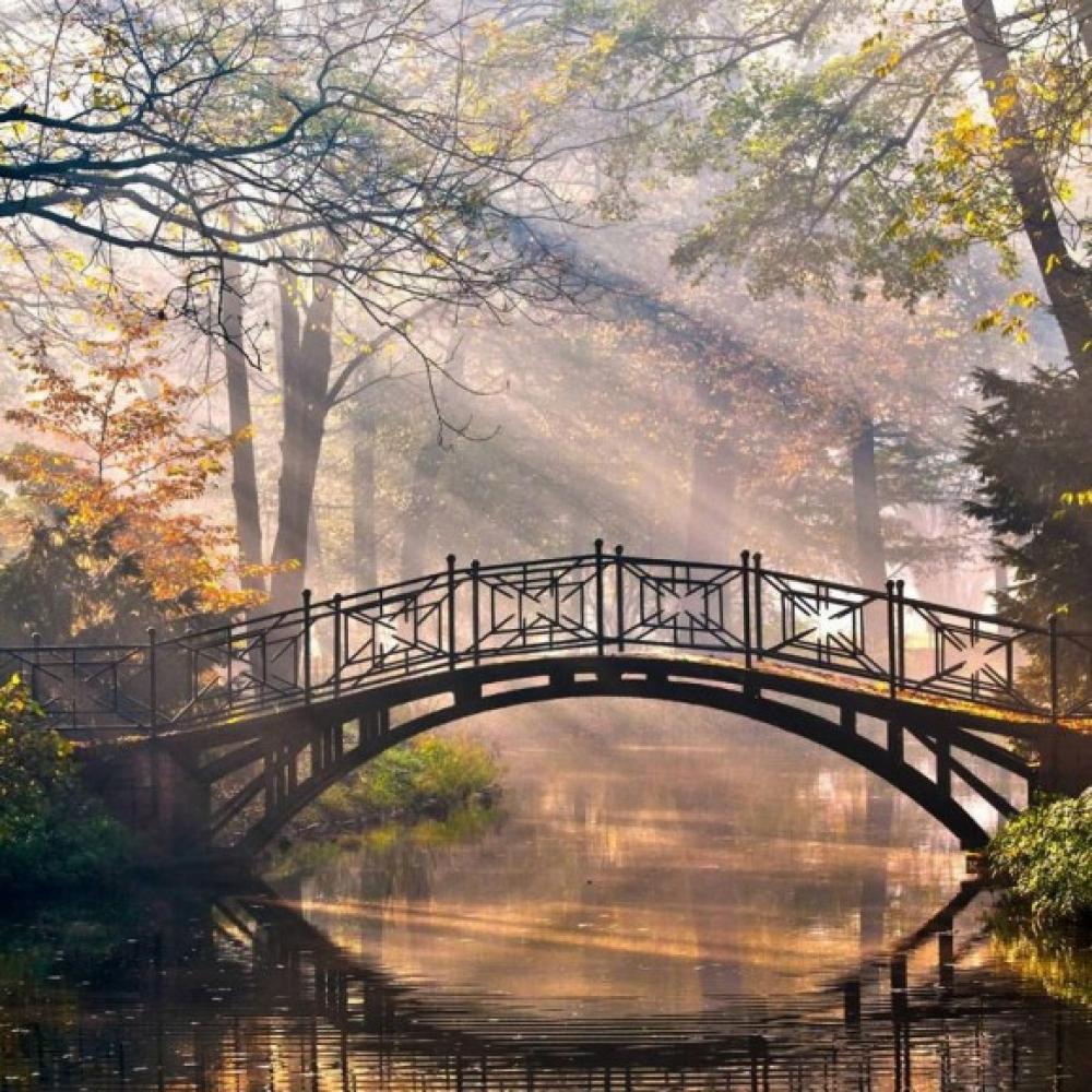 Обои 4800 Природа фотообои (Walldeco): фото, зображення, колір, малюнок