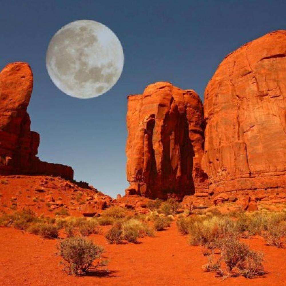 Обои 4923 Природа фотообои (Walldeco): фото, зображення, колір, малюнок