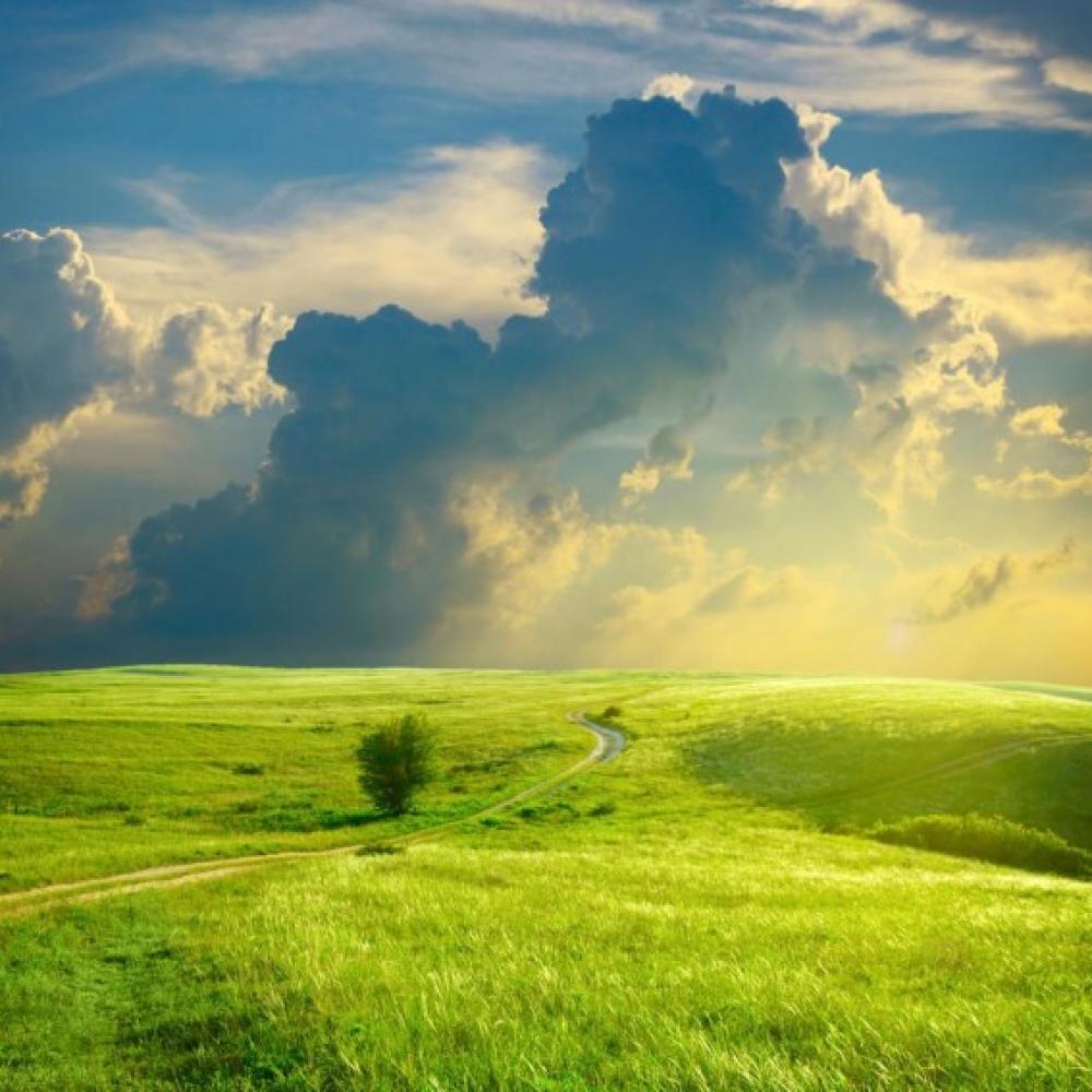 Обои 5243 Природа фотообои (Walldeco): фото, зображення, колір, малюнок