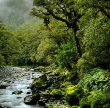 Обои 5477 Природа фотообои (Walldeco)