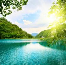 Обои 5558 Природа фотообои (Walldeco)