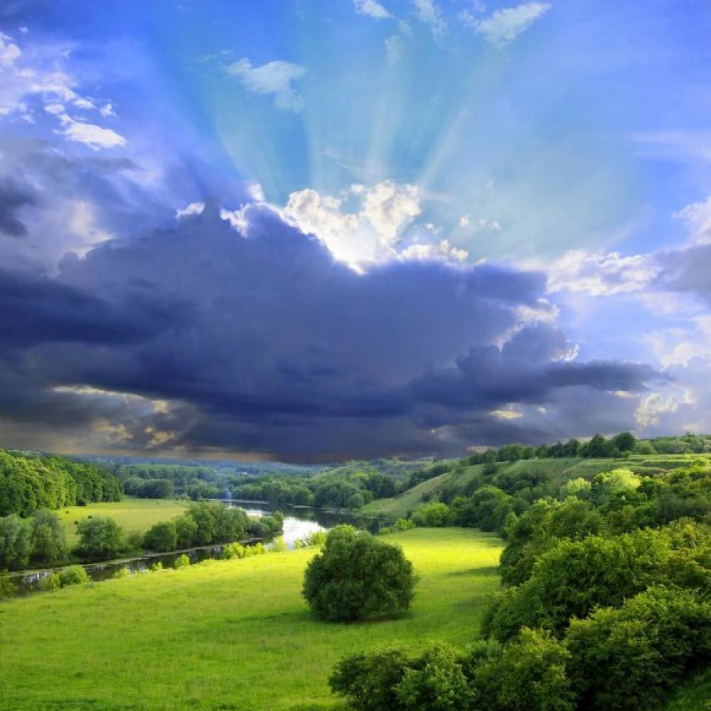 Обои 5560 Природа фотообои (Walldeco): фото, зображення, колір, малюнок