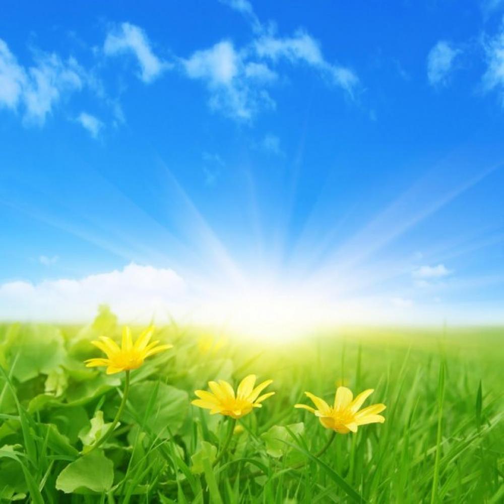 Обои 5634 Природа фотообои (Walldeco): фото, зображення, колір, малюнок
