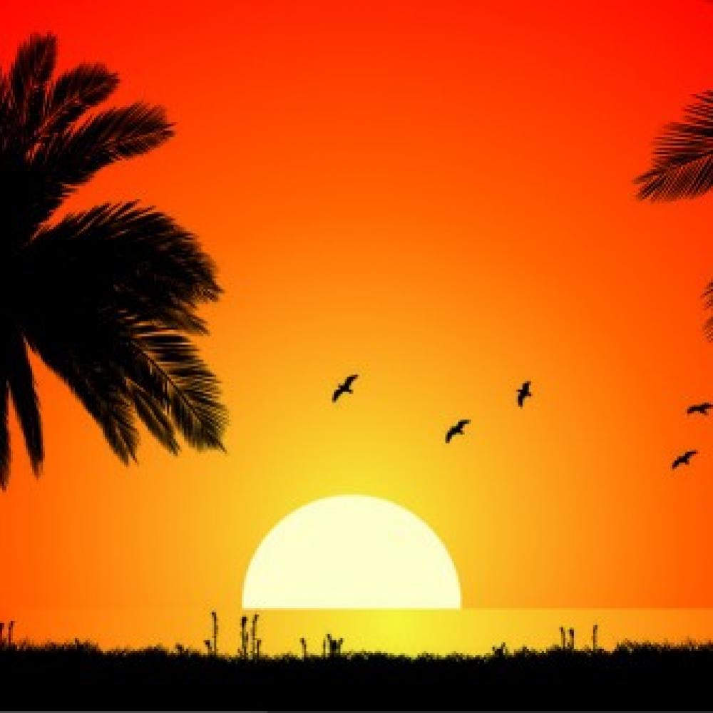Обои 5790 Природа фотообои (Walldeco): фото, зображення, колір, малюнок