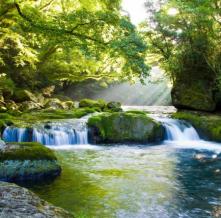 Обои 5810 Природа фотообои (Walldeco)
