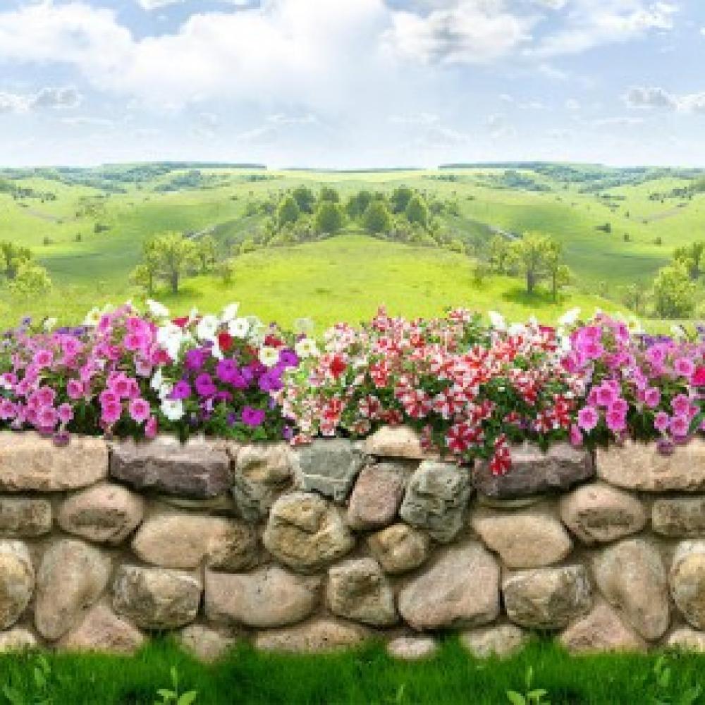Обои bur-162 Природа фотообои (Walldeco): фото, зображення, колір, малюнок