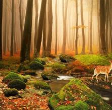 Обои deco-103 Природа фотообои (Walldeco)